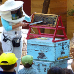 Ενας Μελισσοκόμος, Μια Ανοιξιάτικη Ημέρα…