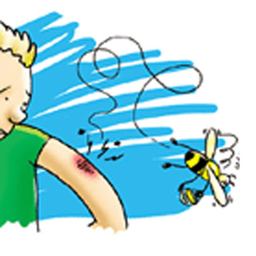 Γιατί οι Μέλισσες Πεθαίνουν όταν μας Τσιμπήσουν, ενώ οι Σφήκες όχι;