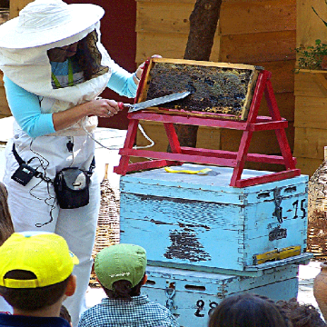 Ενας Μελισσοκόμος, Μια Ανοιξιάτικη Ημέρα...